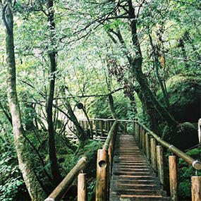 3,342 notes • faves